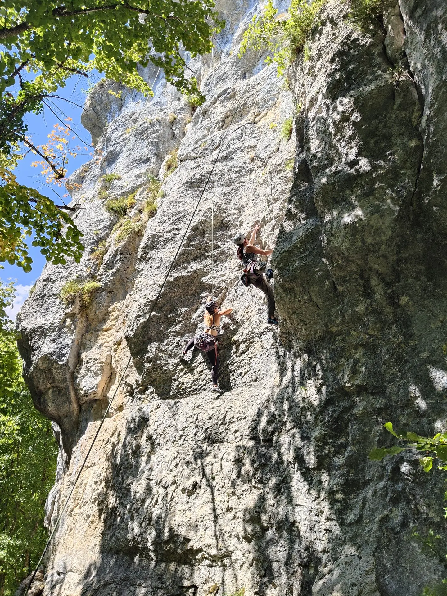 grimpeuses en falaise